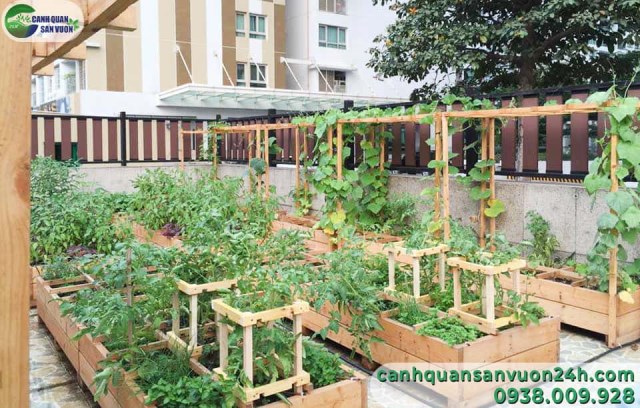 Clean vegetable garden designing service