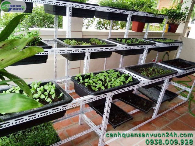 Clean vegetable garden designing service