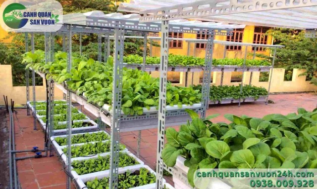 Clean vegetable garden designing service