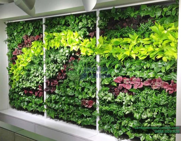 Vertical garden designing service