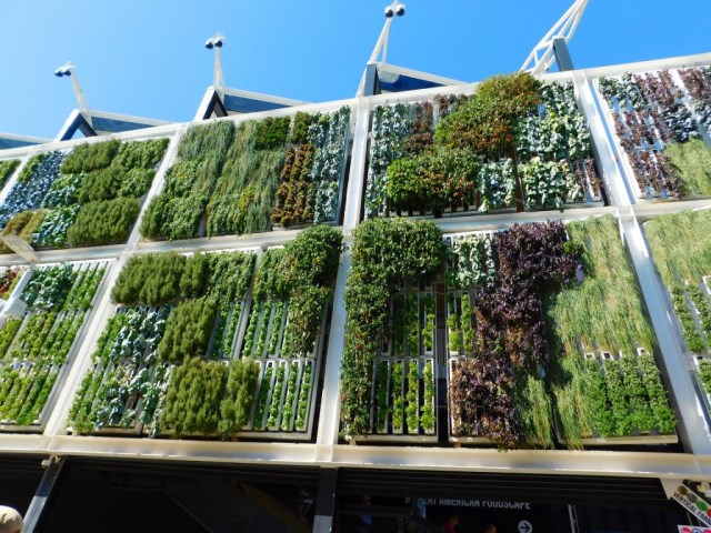 Vertical garden designing service
