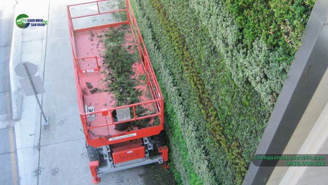 Vertical garden designing service