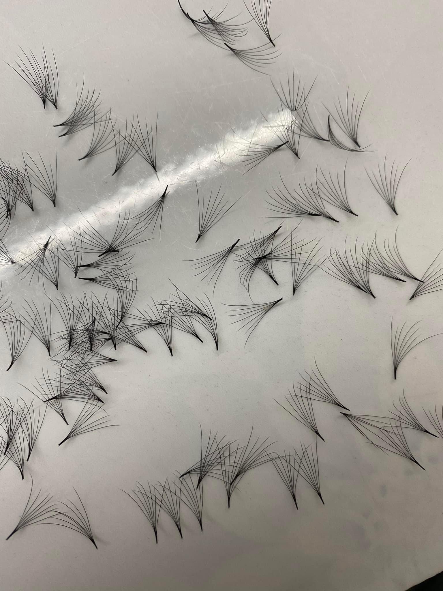 Eyelashes