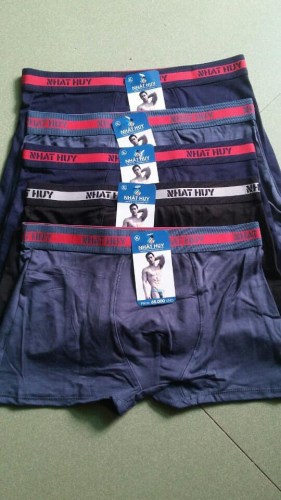 Nhat Huy men underwear