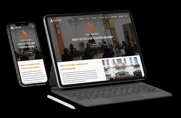 Anexper website design