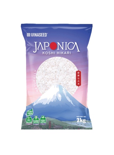 Mockup VJ Japonica
