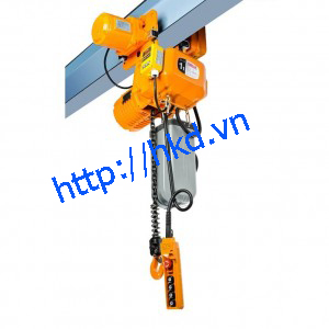 Electric chain hoist