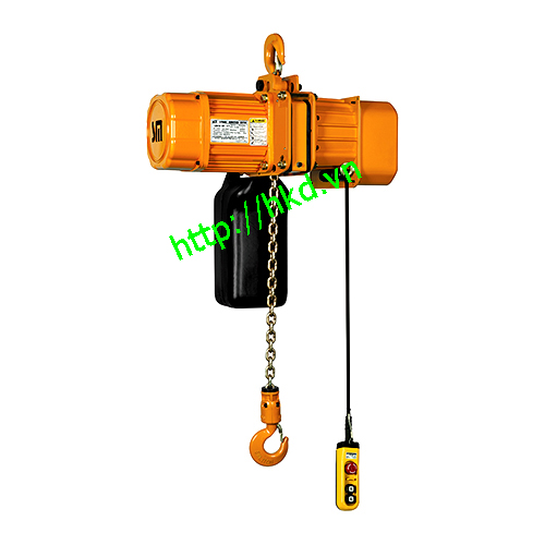 Electric chain hoist
