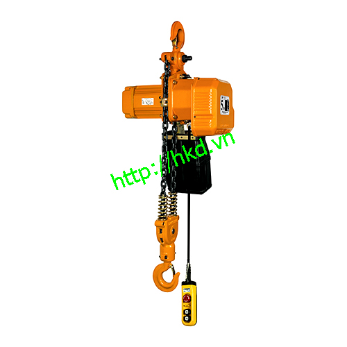 Electric chain hoist