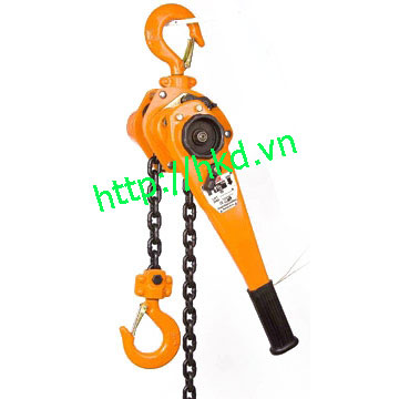 Hand chain hoist