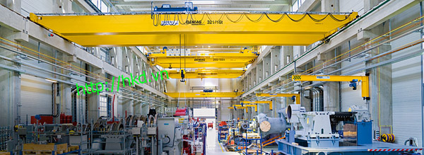 Double girder gantry crane