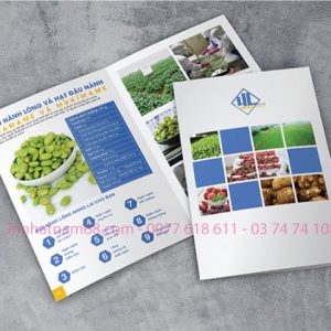 Catalogue printing