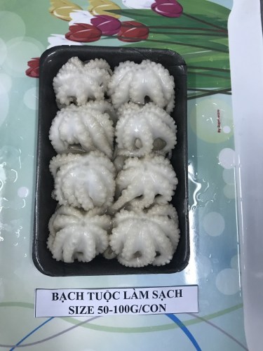 Octopus