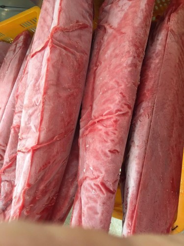 50kg Tuna fish