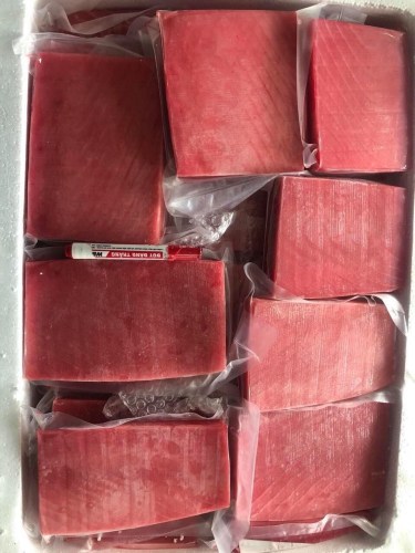 Tuna fish