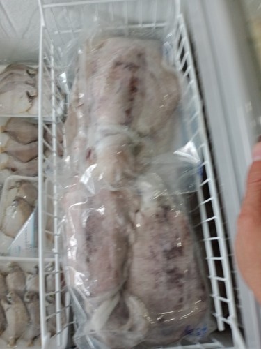 Sea food