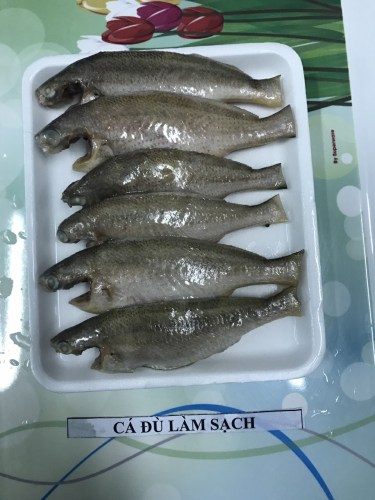 Sea food