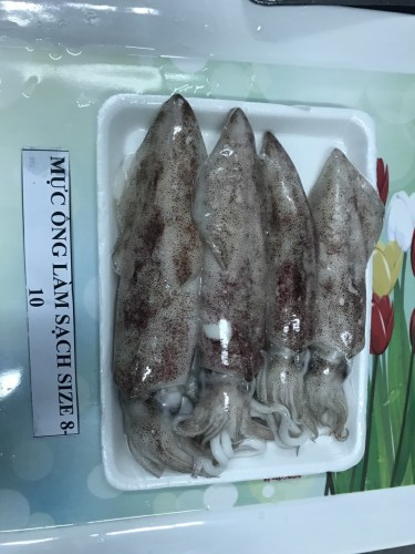Sea food