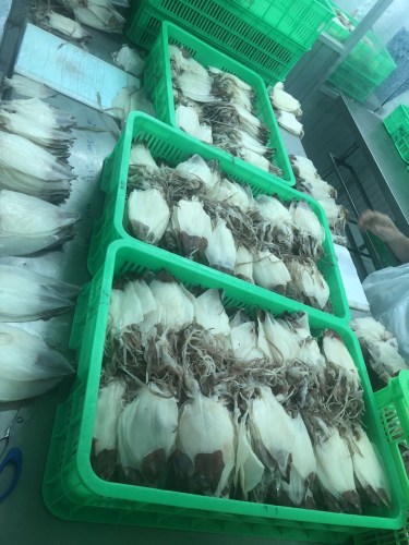 Sea food