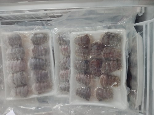 Sea food