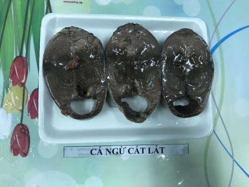 Sea food