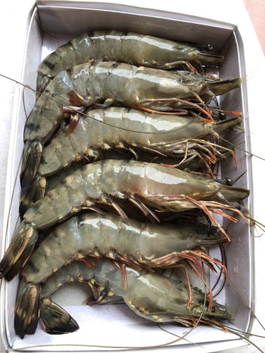 Sea food