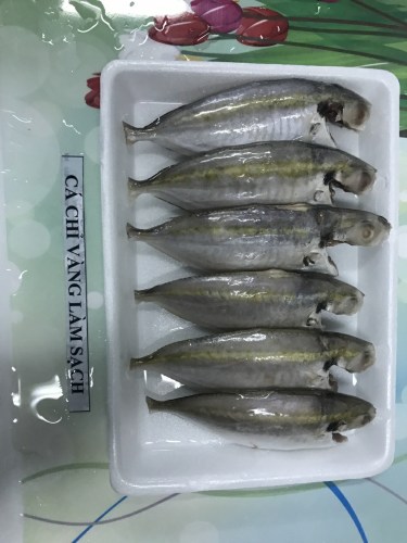 Sea food
