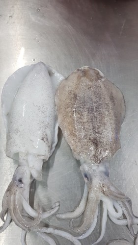 Sea food