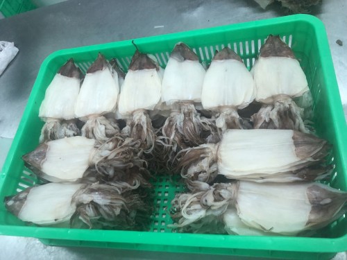 Sea food