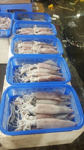 Sea food