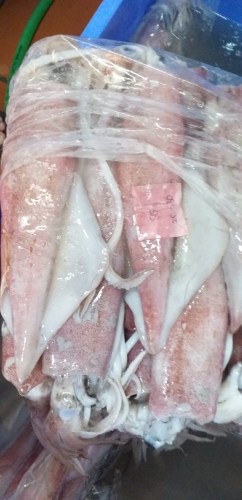 Sea food