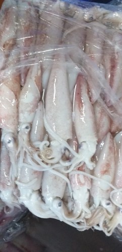 Sea food