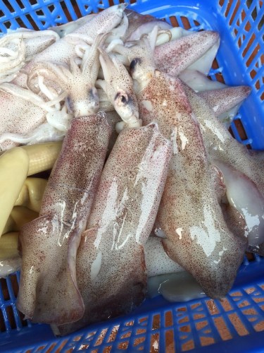 Sea food