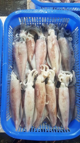 Sea food