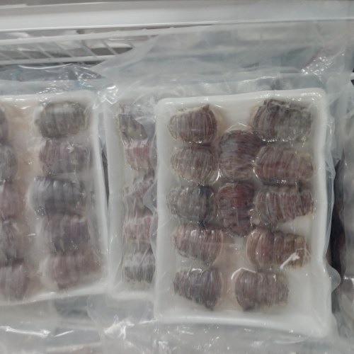 Sea food