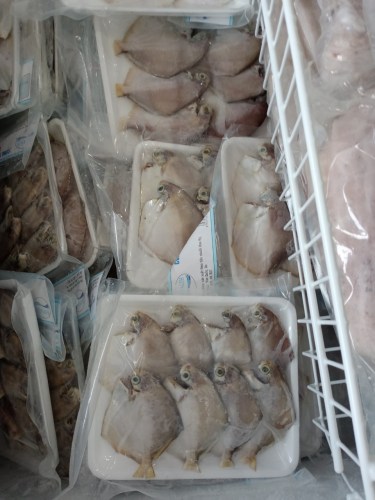 Sea food