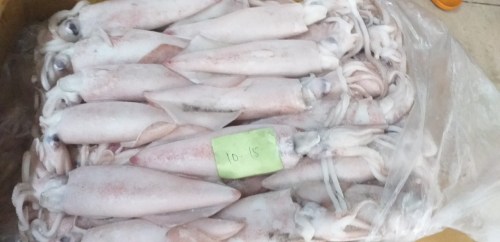 Sea food