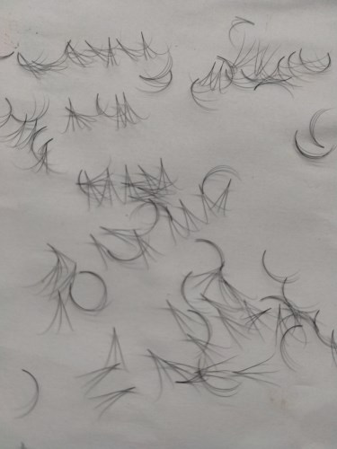3D volume lashes