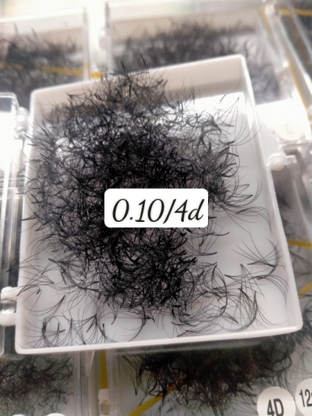 4D volume lashes