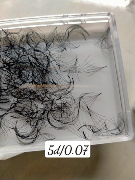 5D - 0.07 volume lashes