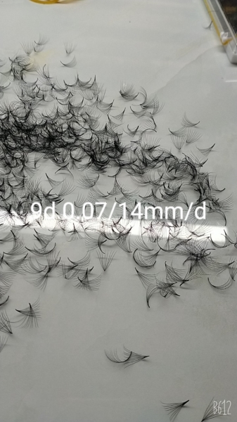 9D volume lashes