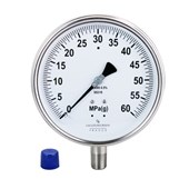 Pressure Gauges