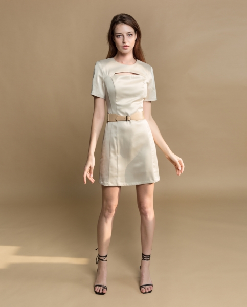 Fashionable Dress