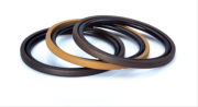 SPGO gasket