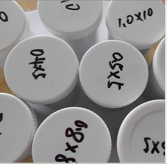 Steel magnetic push pins