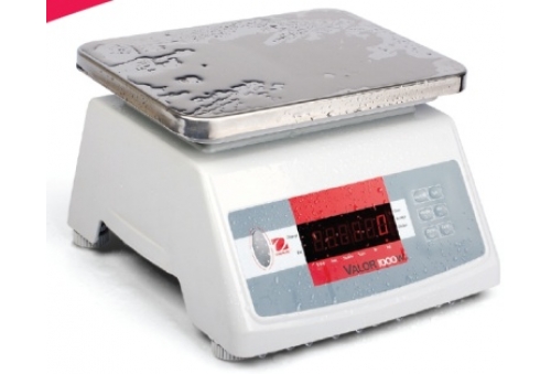 Valor Electronic Scale