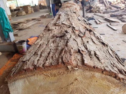 Sawmill