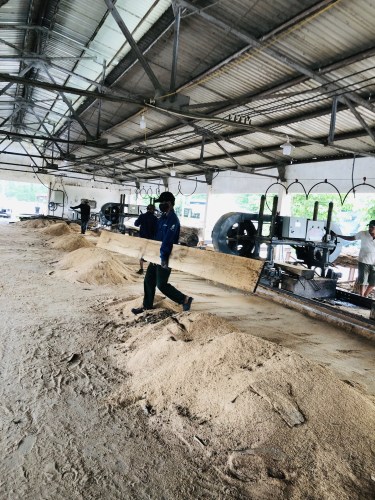 Sawmill