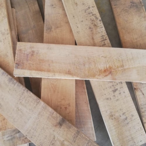Sawn Timber