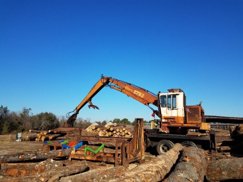 North American Oak Logs